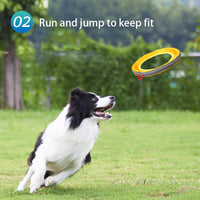 Interactive Linen Dog Frisbee