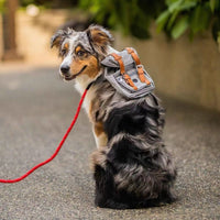 Portable Dog Backpack Carrier