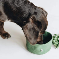 Foldable Travel Dog Bowl