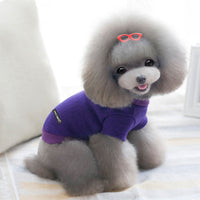 Knitted Pet Sweater