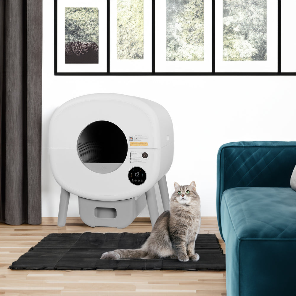 Smart Self-Cleaning Cat Litter Box
