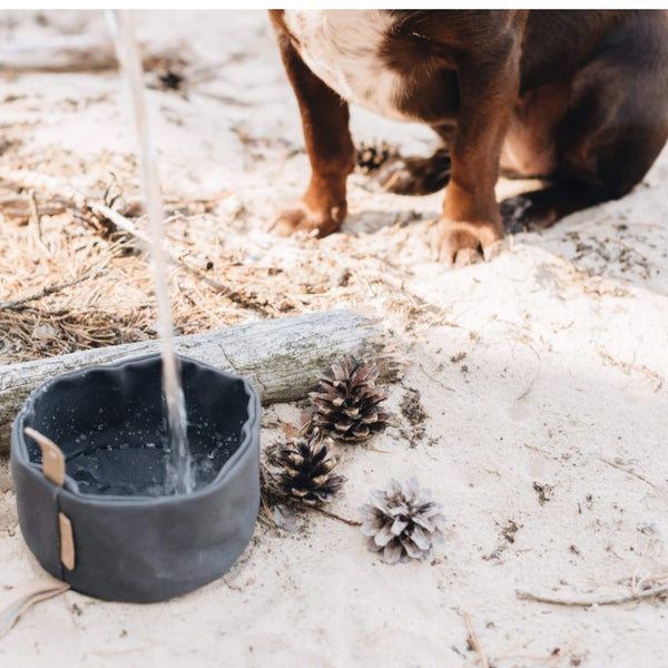 Foldable Travel Dog Bowl