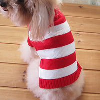 Knitted Twist Dog Sweater
