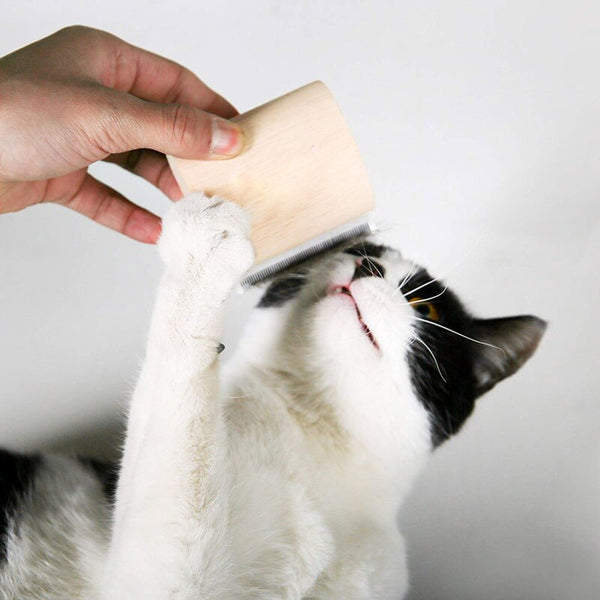 Wooden Pet Deshedding Brush