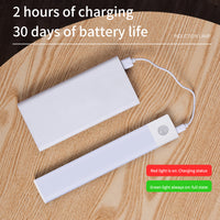 Motion-Sensor Rechargeable LED Strip