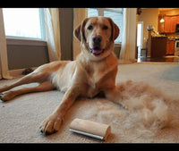 Wooden Pet Deshedding Brush