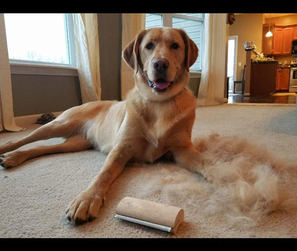 Wooden Pet Deshedding Brush