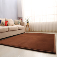 Plush Coral Fleece Area Rug