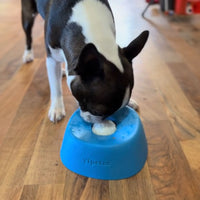 Anti-Choke Slow Feeder & Lick Mat