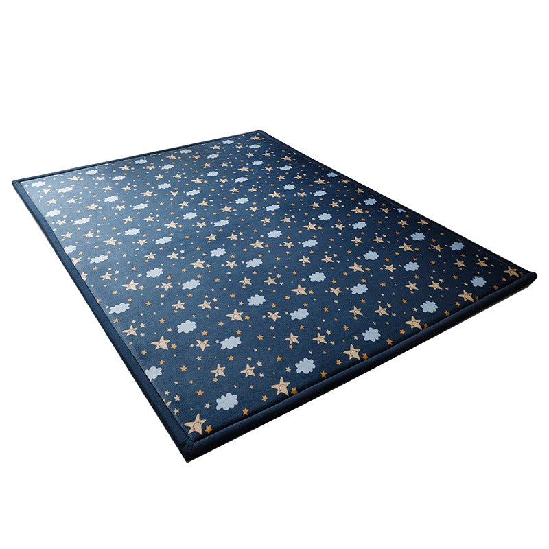 Plush Coral Fleece Area Rug