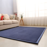 Plush Coral Fleece Area Rug