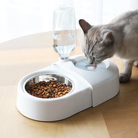 Anti-Tip Pet Bowl & Water Feeder