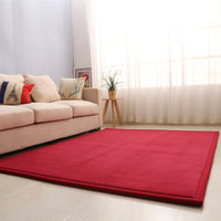 Plush Coral Fleece Area Rug