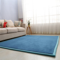 Plush Coral Fleece Area Rug