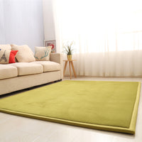 Plush Coral Fleece Area Rug